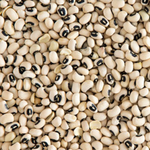 Cow Pea Seeds