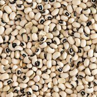 Cow Pea Seeds