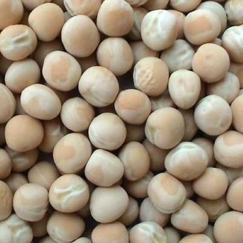 White Pea Beans