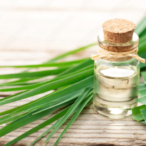 Common Lemongrass Oil