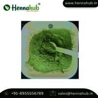 Leading Exporter of Premium Organic Indigo Powder for Hair and Body Art