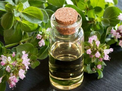 Oregano Oil Premium