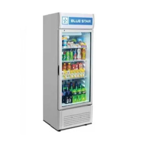 VC325D 300 Liter Blue Star Visi Freezer