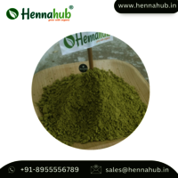 Wholesaler of Indigofera tinctoria Powder for Stunning Hair Coloring Results