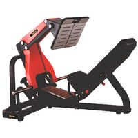 Leg Press 45 degree