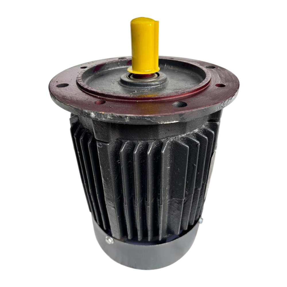 5 HP 3 Phase Induction Motor