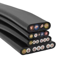 Cable with Dual Strain Relief