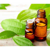 Cinnamon Leaf Oils - Cas No: 8015-91-6