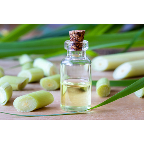  Citronella  Oil Java