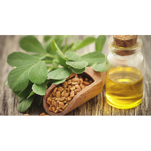 Fenugreek Oil
