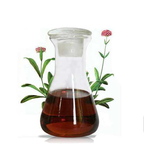 Jatamansi Oil - Spikenard