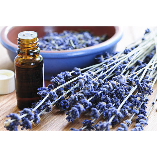 Lavender  Oil - Bulgarian Age Group: All Age Group