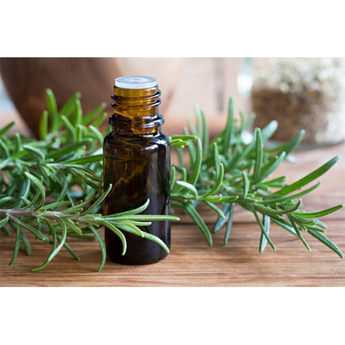 Rosemary Oil