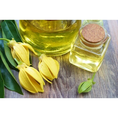 Ylang Ylang Essential Oil Purity: 99%