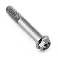 High Strength Titanium Bolt - Titanium Alloy, Various Sizes Available, Silver Color, Galvanized Surface Treatment | Industrial Grade, Corrosion Resistant, Customizable Thread Profiles