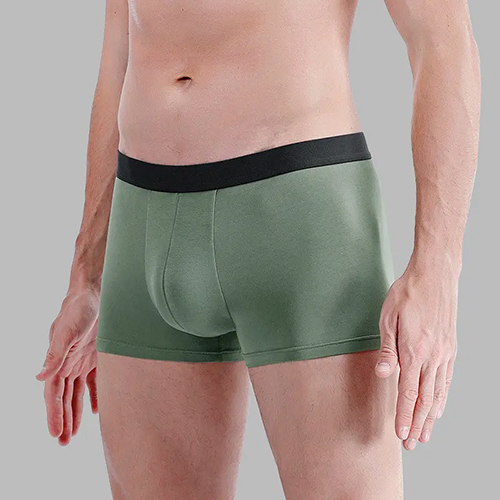 Men Shorts Boxer