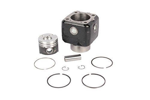 TATA ACE PISTON SET KIT