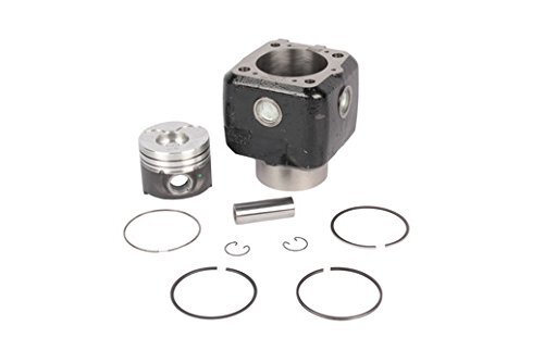 Tata Ace Piston Set Kit