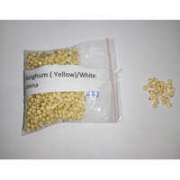 White Sorghum
