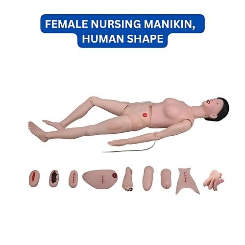 Natural Skin Color Female Nursing Manikin Human Shape