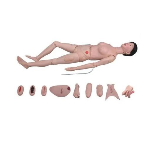 Female Nursing Manikin Human Shape