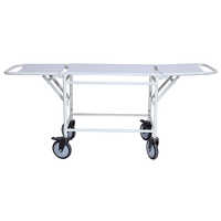 MS 3 Fold Stretcher