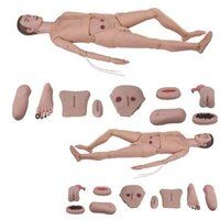 Natural Medical Mannequin  set