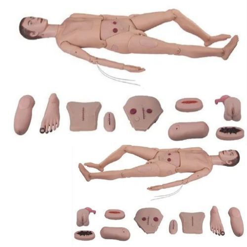 Natural Medical Mannequin  set