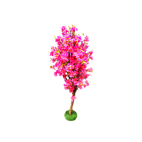 Pink Blossom Flower Plant