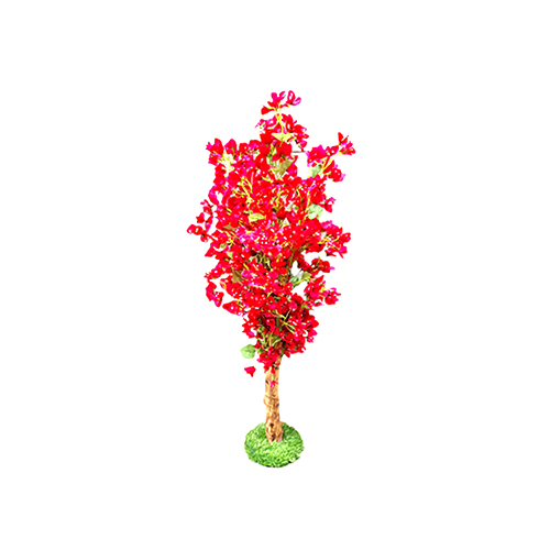 Red Blossom Flower Plant Size: Different Available