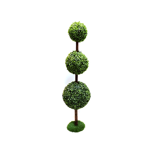 Green Boxwood Topiary Plant