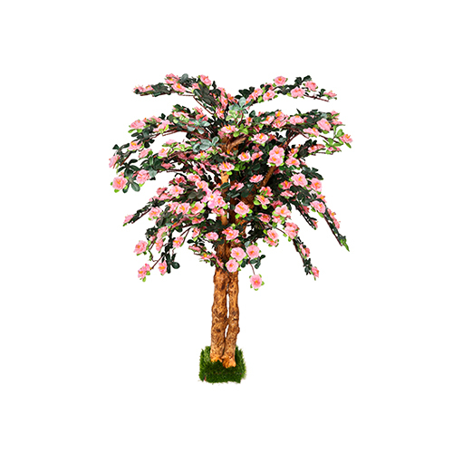 Pink Blossom Flower Tree In Coffee Wood