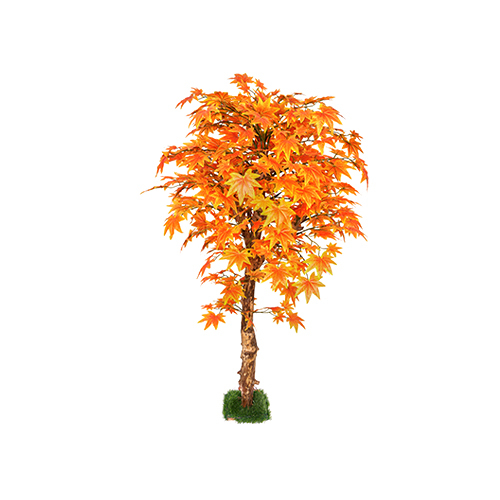 Maple Orange Plant In Coffee Wood Size: 6 Feet