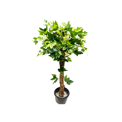 3 Feet Green Topiary Plants