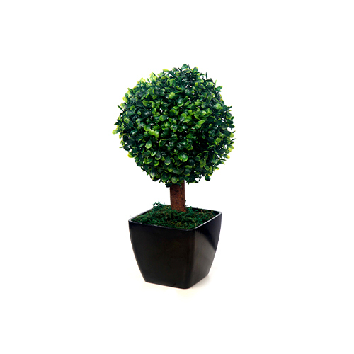 Grass Ball Bonsai Black Pot