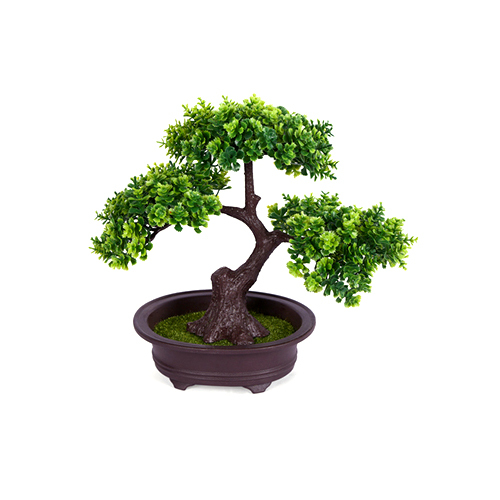 12 Inch Bonsai With Pot