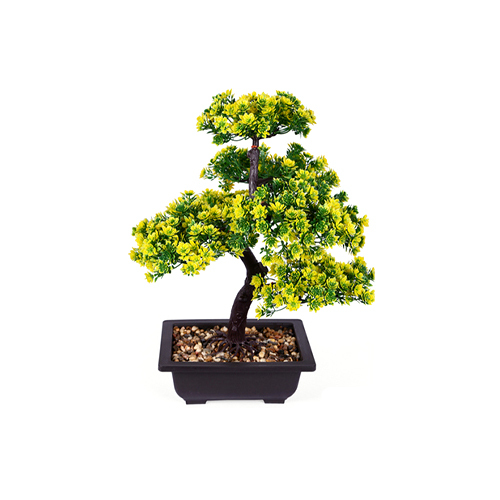 Green 12 Inch Exotic With Pot
