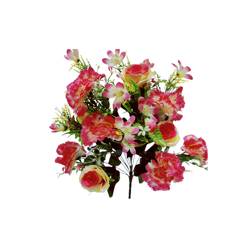 Carnation Rose Flower