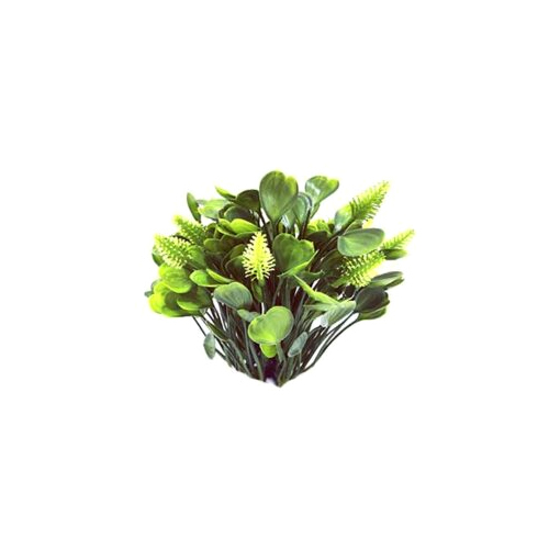 Green Grass Bushes