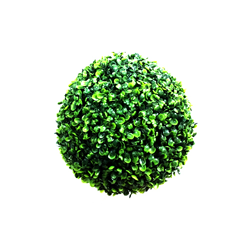 22 CM Box Wood Ball