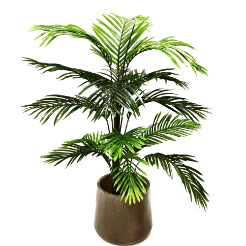 Kentia Palm Real Touch Plant