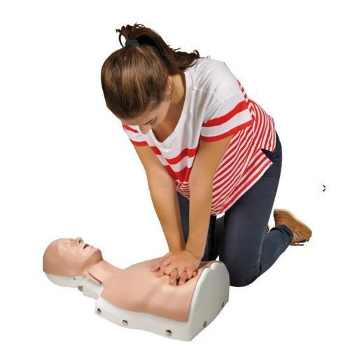 CPR CHEST  Manikin MALE