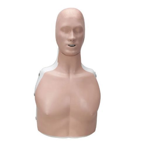 CPR CHEST  Manikin MALE