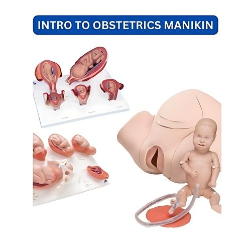 https://cpimg.tistatic.com/08631022/b/8/Intro-to-Obstetrics-Manikin.jpg