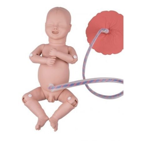 Intro to Obstetrics Manikin