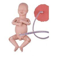 Intro to Obstetrics Manikin