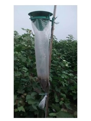 Insect Funnel Trap