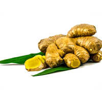 Fresh Organic Ginger Grade: First Class