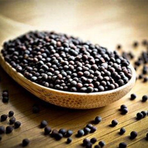 Fresh Mustard Seed