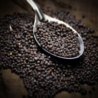 Fresh Mustard Seed